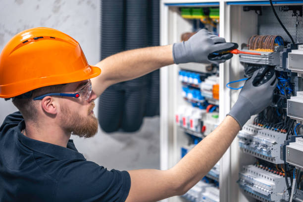 Best Electrical System Inspection  in Gladwin, MI